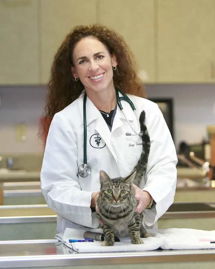 Dr. Tracy Tommack holding a tabby kitten on the exam table